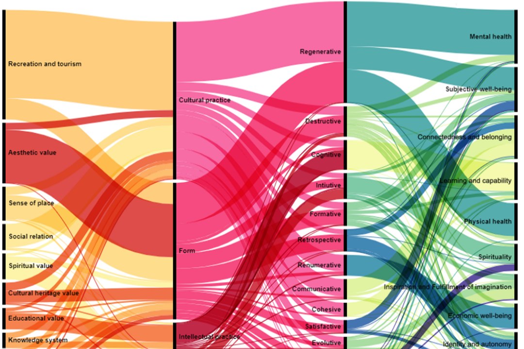 Seres humanos evolu�ram para a natureza, n�o para as cidades