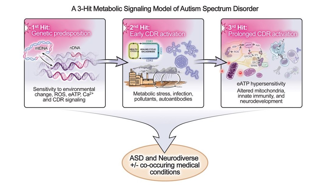 Nova teoria de três fatores redefine as causas do autismo