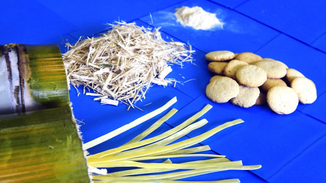 Vai comprar utens�lios de bambu? Verifique antes se � s� bambu mesmo