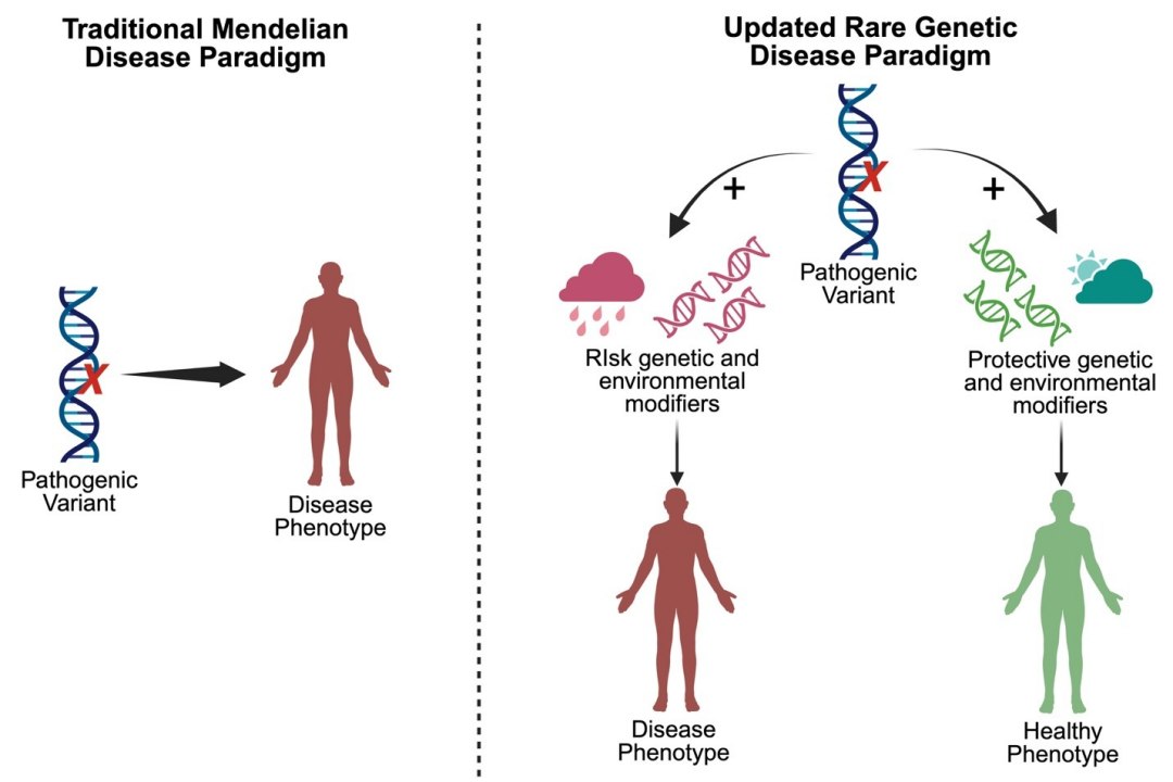 Genes n�o determinam o destino da cegueira heredit�ria, comprovam cientistas
