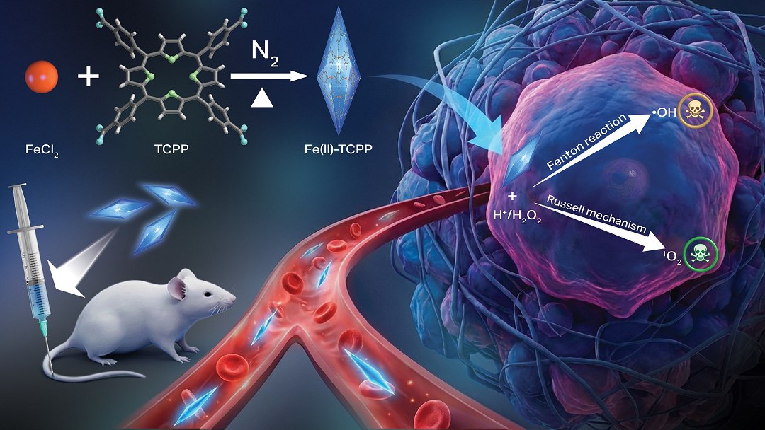 Novo material que destr�i o c�ncer tem participa��o de cientista brasileira