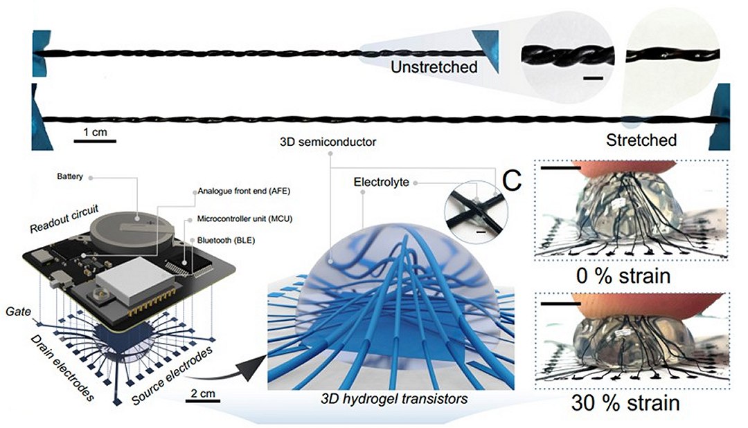 Criados transistores 3D macios, capazes de abrigar c�lulas vivas