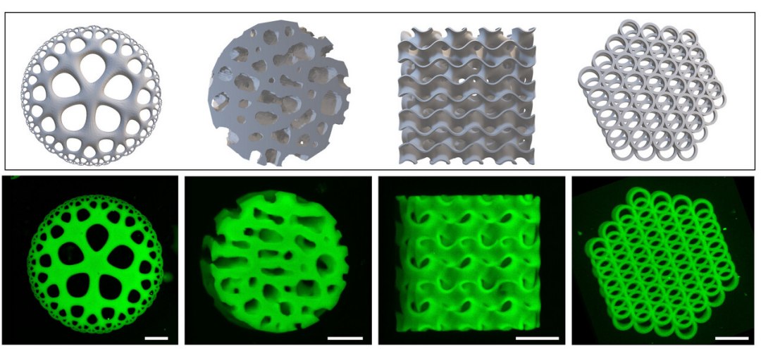Hidrogel promete revolucionar regenera��o �ssea
