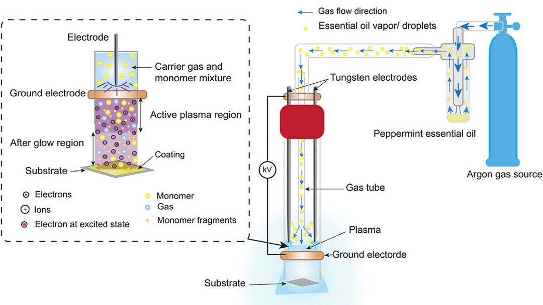 Revestimento de hortel� protege equipamentos m�dicos contra superbact�rias