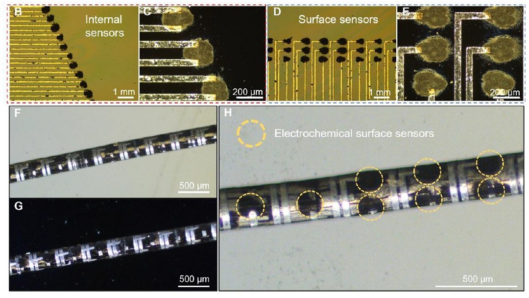 Fio eletr�nico monitora �rg�os e trata doen�as neurol�gicas