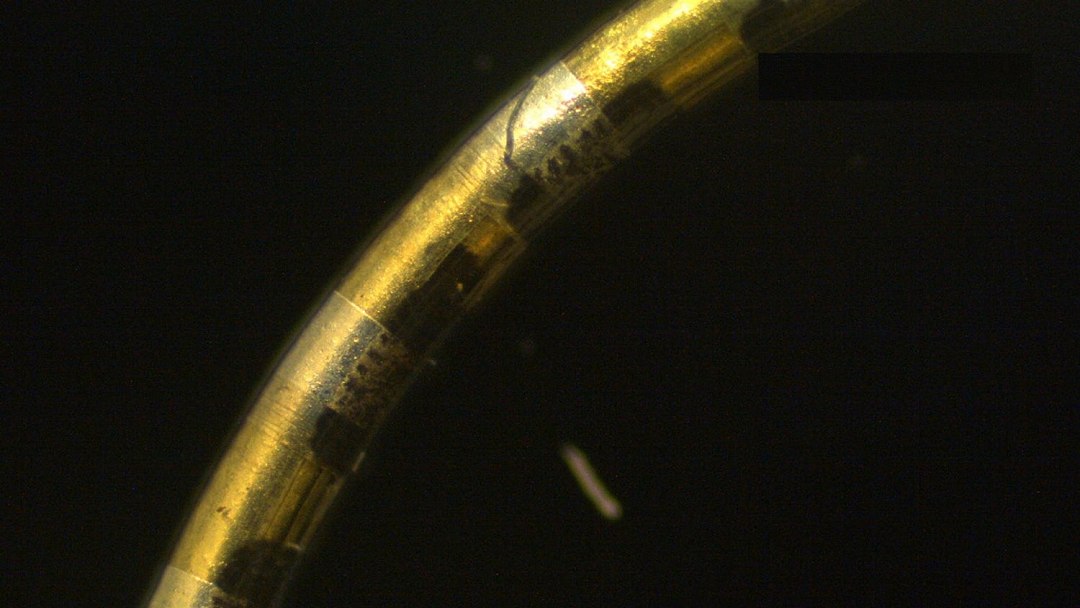 Fio eletr�nico monitora �rg�os e trata doen�as neurol�gicas