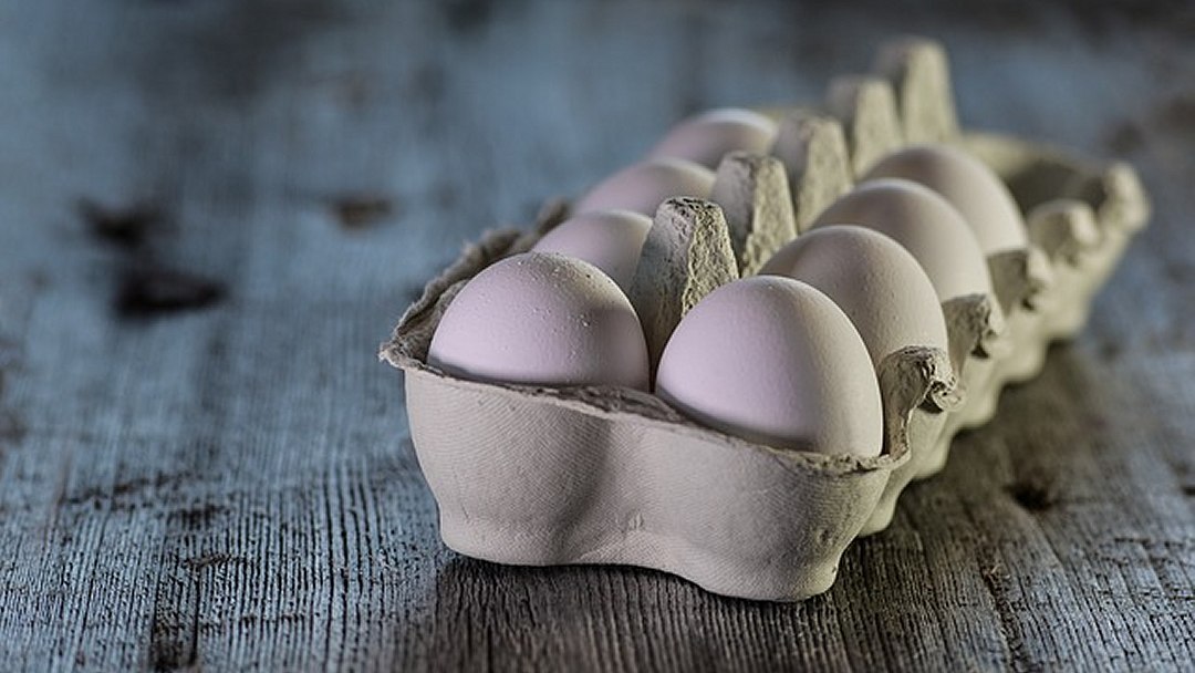 Comer ovos est� associado a um menor risco de doen�a de Alzheimer