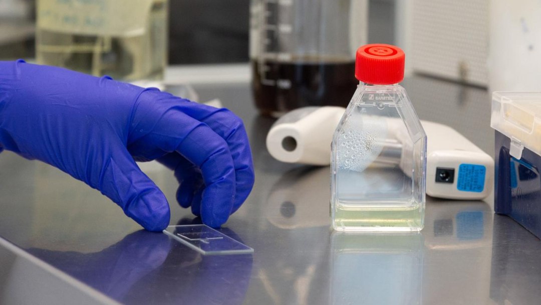 Descoberta acidentral mostra DNA quebrando as regras da vida