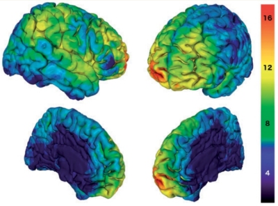 Como leses cerebrais leva ao altrusmo ou ao egosmo