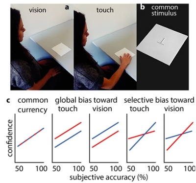 Síndrome de São Tomé: Por que sentimos necessidade de tocar nos objetos?