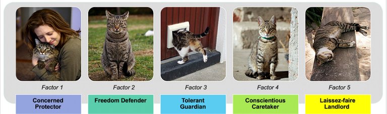 Existem cinco tipos de donos de gatos, dizem cientistas