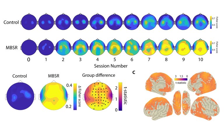 Meditação facilita controle das interfaces cérebro-computador