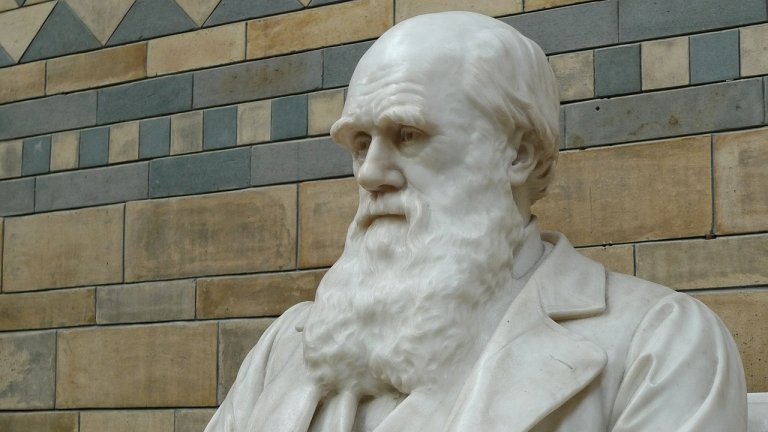 Crena no darwinismo social mostra caractersticas psicolgicas disfuncionais