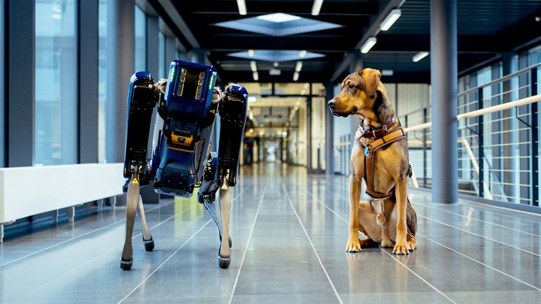 Teoria propõe testar consciência em humanos, animais e inteligência artificial