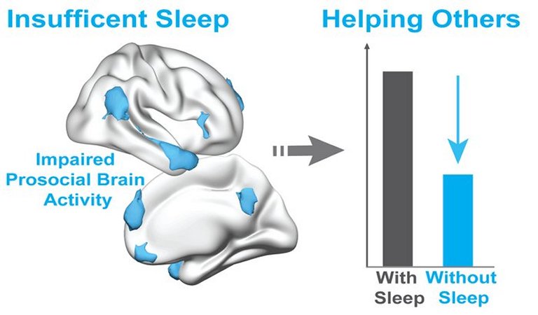 Dormir pouco diminui bondade das pessoas