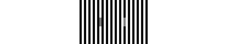 Are optical illusions in the eye or in the brain?