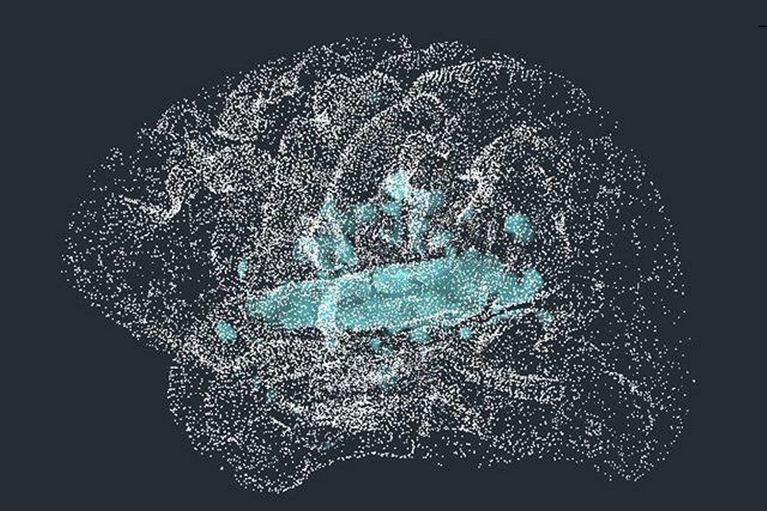 Como separamos as palavras que ouvimos se não falamas