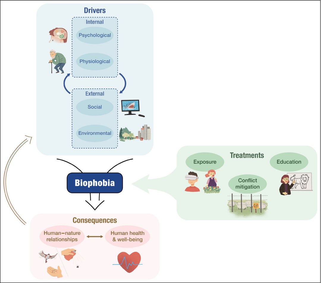 Biofobia, o medo da natureza
