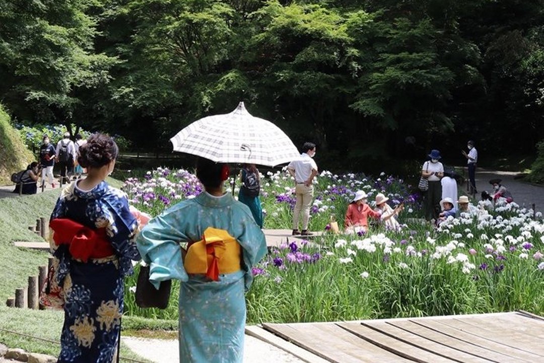 Biofobia, o medo da natureza