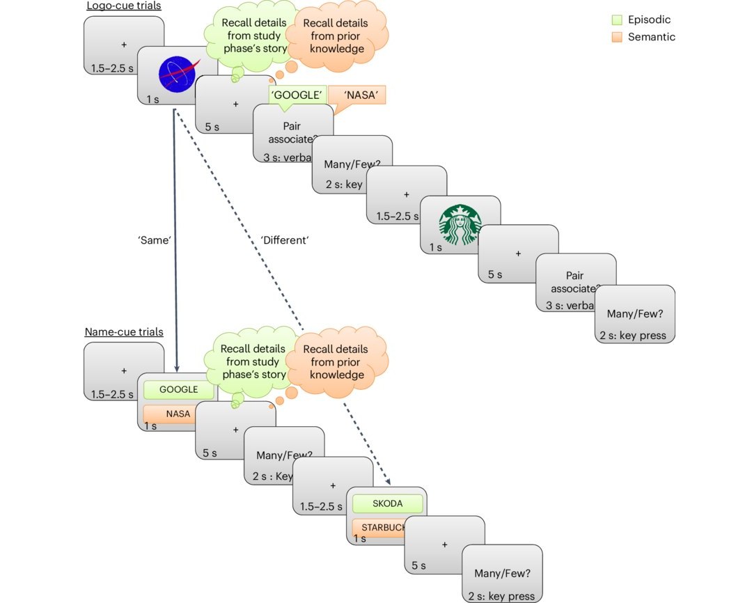 Descoberta for�a cientistas a repensarem funcionamento da mem�ria