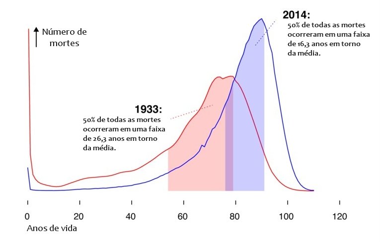 Longevidade e mortes prematuras obedecem lei matemtica, dizem cientistas