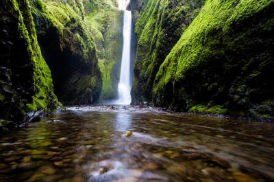 Ambientes naturais melhoram imagem positiva do prprio corpo