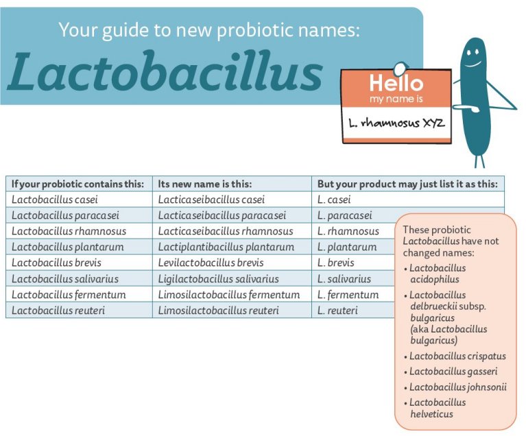 Bactrias de produtos probiticos mudam de nome. Entenda