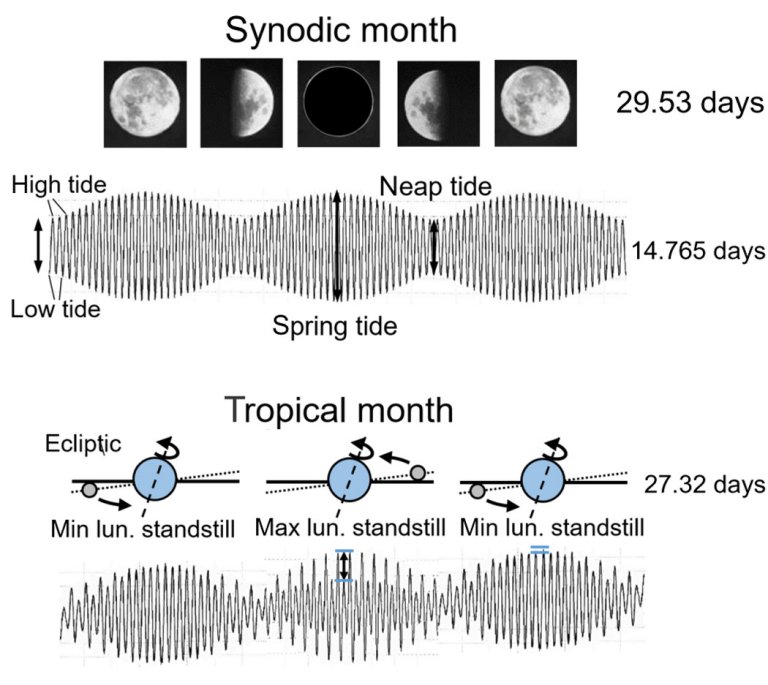 Ciclos menstruais sincronizam-se com ciclos da Lua