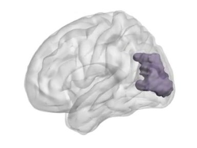 Estimulação magnética do cérebro melhora memória rapidamente