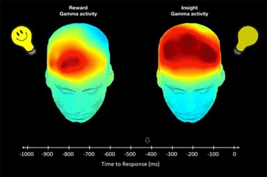 Cultura controla evoluo humana mais do que a gentica, dizem cientistas