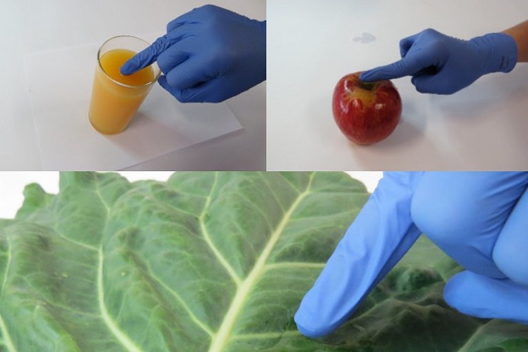 Luva detecta pesticidas diretamente nos alimentos
