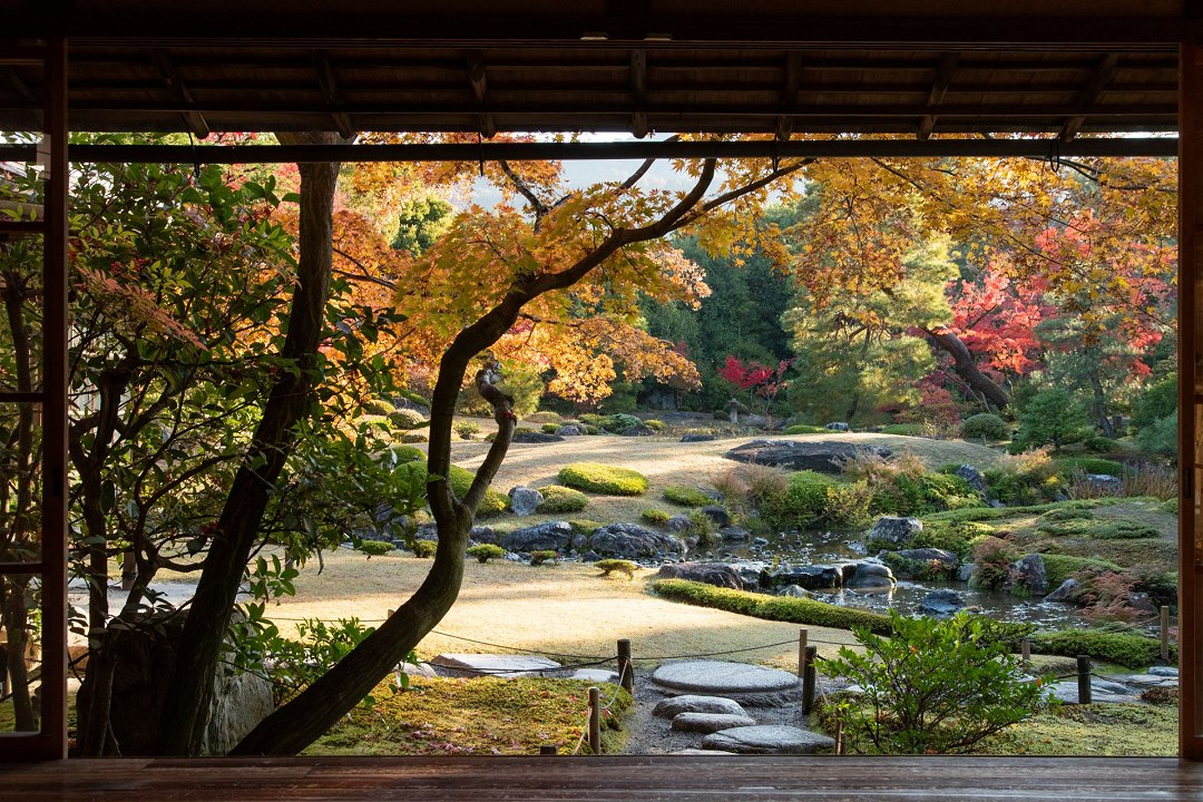 Observar um jardim bem feito reduz estresse e melhora o humor