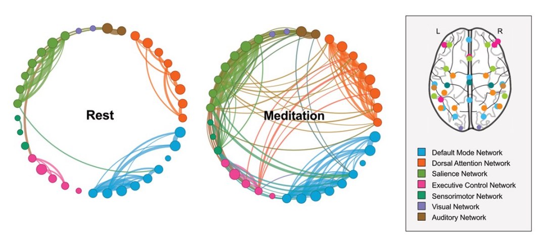 Retiro de meditao reprograma rapidamente o corpo e a mente.