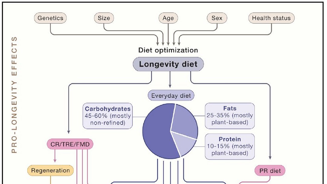 Brasileiros est�o vivendo mais de 110 anos e os cientistas querem saber o porqu�