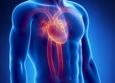 Ataque cardíaco é condição sistêmica, indo muito além do coração