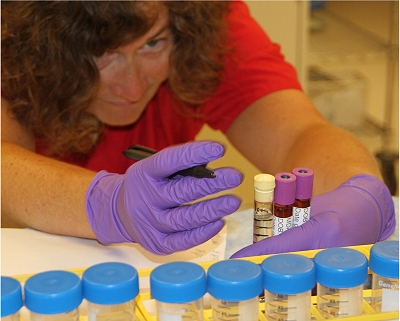 Laboratórios não têm padrão para testes genéticos de câncer