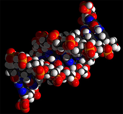 Técnica de edição genética CRISPR/Cas9 causa danos extensos ao DNA