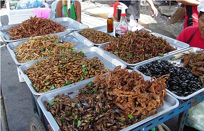 Comer grilos melhora intestino e reduz inflamação