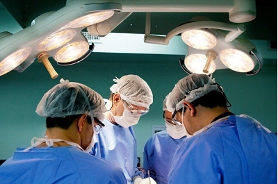 Cientistas brasileiros caminham rumo ao transplante de órgãos de porcos para humanos