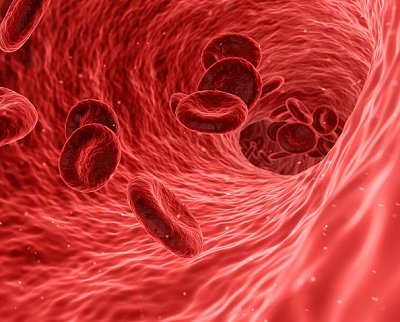 Proteína indica predisposição a doenças cardiovasculares mesmo em pessoas saudáveis