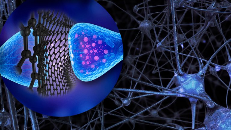 Naves microscpicas de grafeno podem controlar a atividade dos neurnios