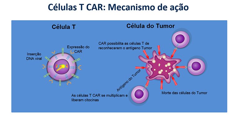 Pesquisadores brasileiros reduzem custo de tratamento inovador contra o câncer