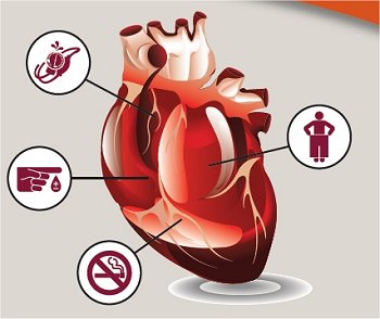 Dormir o tempo certo diminui risco de infarto - mesmo se voc� tem predisposi��o gen�tica
