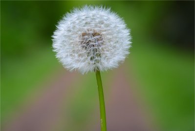 Espermatozoide fecunda o óvulo, certo? Não é tão simples assim