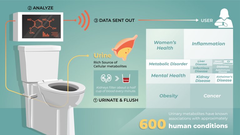 Banheiros inteligentes vão monitorar sua saúde