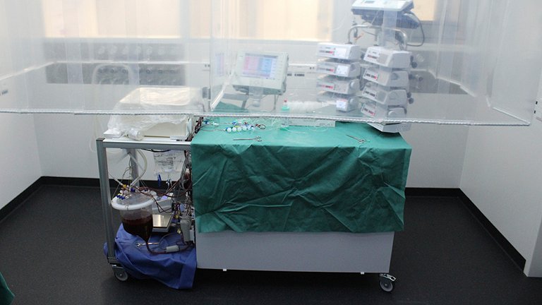 Máquina mantém fígado humano vivo por uma semana fora do corpo