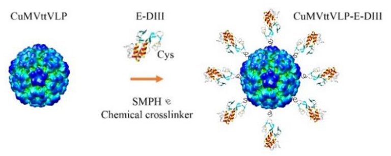 Cientistas brasileiros j trabalham em vacina contra novo coronavrus