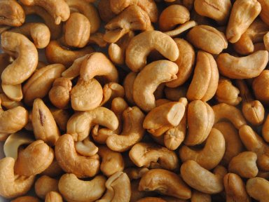 Substância na casca do caju ajuda a reparar nervos