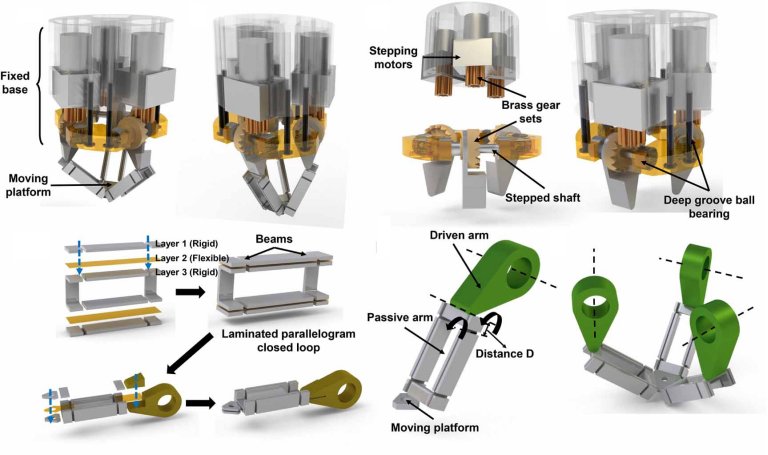 Microrrob usa impresso de clulas para curar lceras estomacais