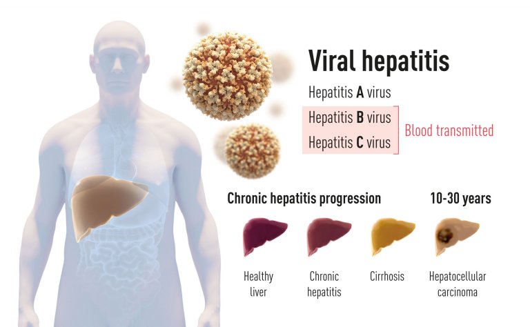 Descobridores do vrus da hepatite C ganham Nobel